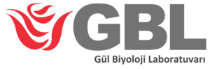 GBL GBL